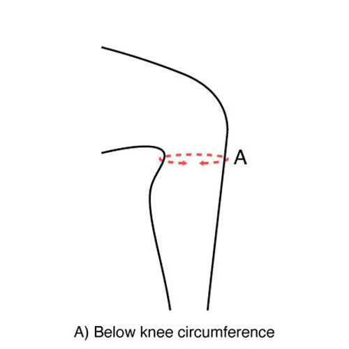 Anatomical  Knee Brace